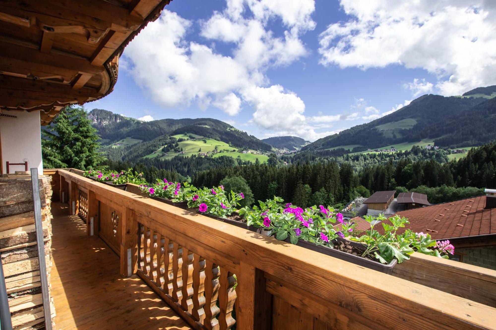 Gittis Ferienwohnung Panorama Wild31 Bernau  Exterior foto